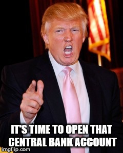 Donald Trump | IT'S TIME TO OPEN THAT CENTRAL BANK ACCOUNT | image tagged in donald trump | made w/ Imgflip meme maker