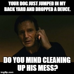 Liam Neeson Taken Meme | YOUR DOG JUST JUMPED IN MY BACK YARD AND DROPPED A DEUCE. DO YOU MIND CLEANING UP HIS MESS? | image tagged in memes,liam neeson taken | made w/ Imgflip meme maker