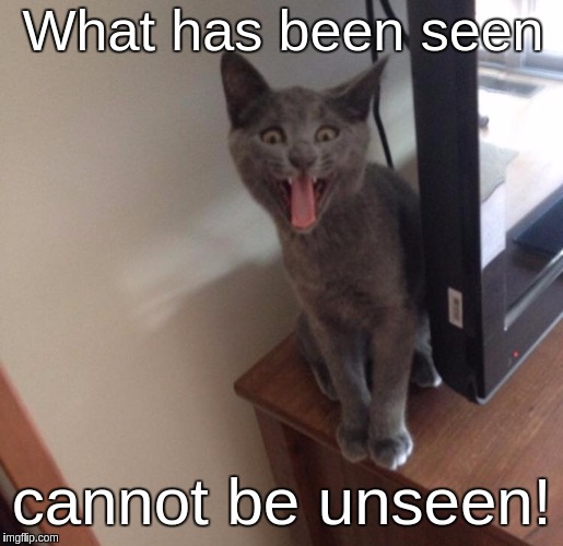 What has been seen; cannot be unseen! | image tagged in grey cat yawning tongue out | made w/ Imgflip meme maker