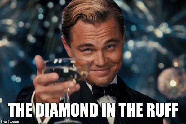 Leonardo Dicaprio Cheers Meme | THE DIAMOND IN THE RUFF | image tagged in memes,leonardo dicaprio cheers | made w/ Imgflip meme maker