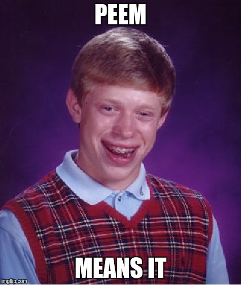 Bad Luck Brian Meme | PEEM; MEANS IT | image tagged in memes,bad luck brian | made w/ Imgflip meme maker