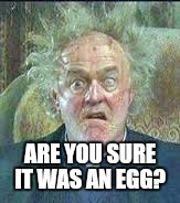 ARE YOU SURE IT WAS AN EGG? | made w/ Imgflip meme maker