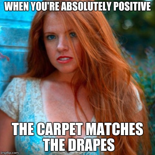 Gingers | WHEN YOU'RE ABSOLUTELY POSITIVE; THE CARPET MATCHES THE DRAPES | image tagged in memes,gingers | made w/ Imgflip meme maker
