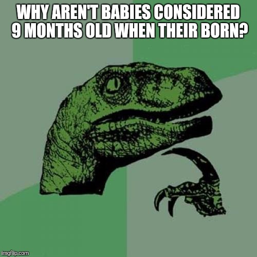 Philosoraptor | WHY AREN'T BABIES CONSIDERED 9 MONTHS OLD WHEN THEIR BORN? | image tagged in memes,philosoraptor | made w/ Imgflip meme maker