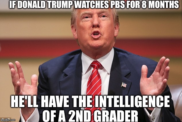 Donald Trump Huge | IF DONALD TRUMP WATCHES PBS FOR 8 MONTHS; HE'LL HAVE THE INTELLIGENCE OF A 2ND GRADER | image tagged in donald trump huge,pbs,2nd grader,education | made w/ Imgflip meme maker