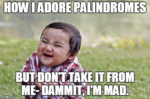 Evil Toddler Meme | HOW I ADORE PALINDROMES; BUT DON'T TAKE IT FROM ME- DAMMIT, I'M MAD. | image tagged in memes,evil toddler | made w/ Imgflip meme maker