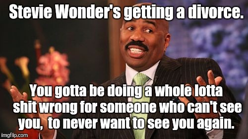 Steve Harvey Meme | Stevie Wonder's getting a divorce. You gotta be doing a whole lotta shit wrong for someone who can't see you,  to never want to see you again. | image tagged in memes,steve harvey | made w/ Imgflip meme maker