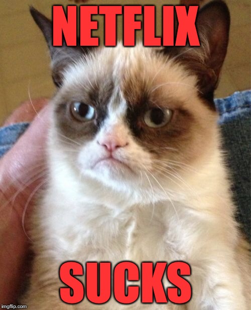 Grumpy Cat Meme | NETFLIX SUCKS | image tagged in memes,grumpy cat | made w/ Imgflip meme maker