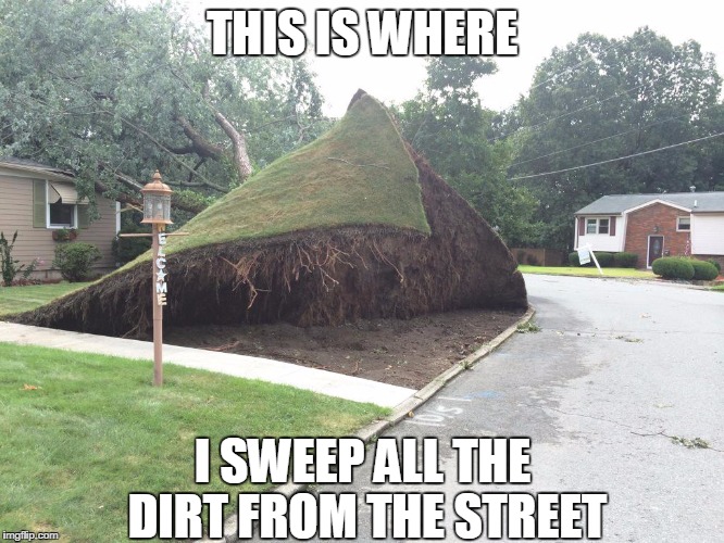 THIS IS WHERE; I SWEEP ALL THE DIRT FROM THE STREET | image tagged in lawn | made w/ Imgflip meme maker