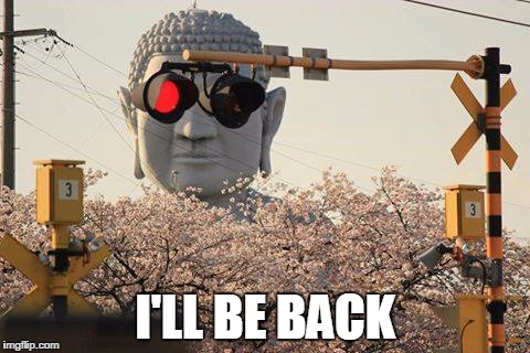 The Buddahnator | I'LL BE BACK | image tagged in statue | made w/ Imgflip meme maker