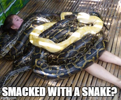 SMACKED WITH A SNAKE? | made w/ Imgflip meme maker