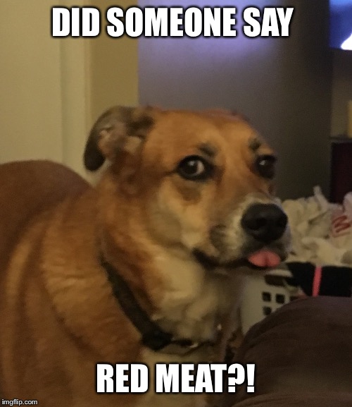 Did someone say? | DID SOMEONE SAY; RED MEAT?! | image tagged in did someone say | made w/ Imgflip meme maker