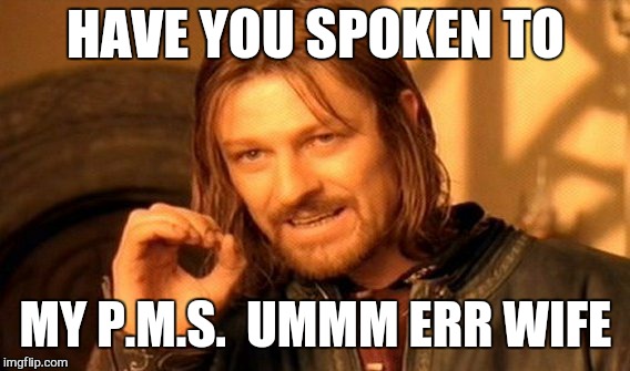 One Does Not Simply Meme | HAVE YOU SPOKEN TO MY P.M.S.  UMMM ERR WIFE | image tagged in memes,one does not simply | made w/ Imgflip meme maker