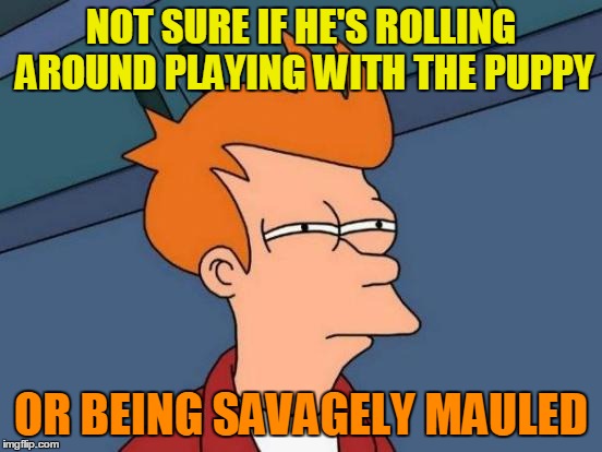 Futurama Fry Meme | NOT SURE IF HE'S ROLLING AROUND PLAYING WITH THE PUPPY OR BEING SAVAGELY MAULED | image tagged in memes,futurama fry | made w/ Imgflip meme maker