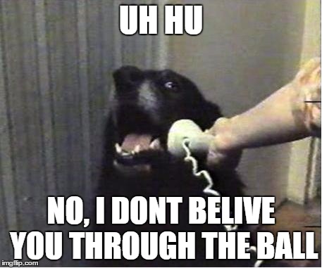 Yes this is dog | UH HU; NO, I DONT BELIVE YOU THROUGH THE BALL | image tagged in yes this is dog | made w/ Imgflip meme maker