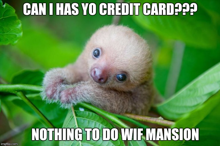 baby sloth | CAN I HAS YO CREDIT CARD??? NOTHING TO DO WIF MANSION | image tagged in baby sloth | made w/ Imgflip meme maker