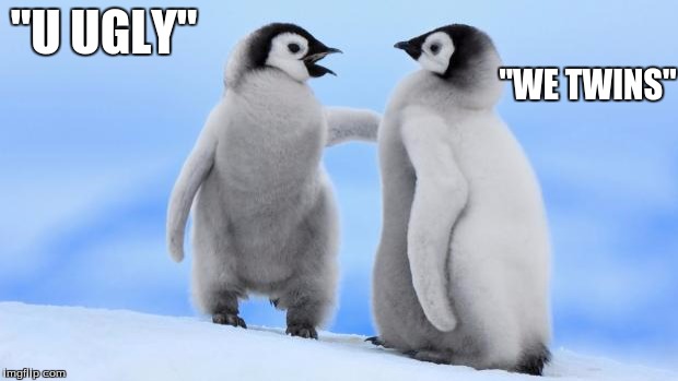 Penguin love | "WE TWINS"; "U UGLY" | image tagged in penguin love | made w/ Imgflip meme maker