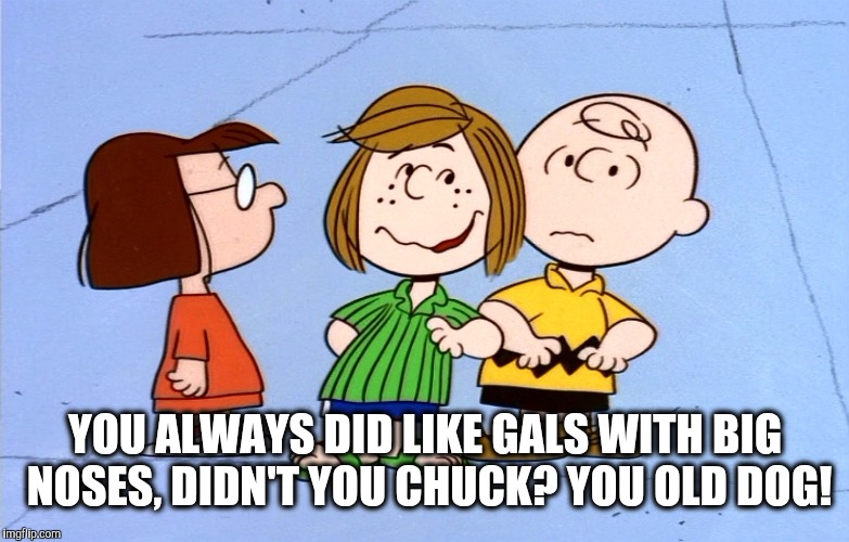 Peppermint Patty | YOU ALWAYS DID LIKE GALS WITH BIG NOSES, DIDN'T YOU CHUCK? YOU OLD DOG! | image tagged in peppermint patty,memes | made w/ Imgflip meme maker
