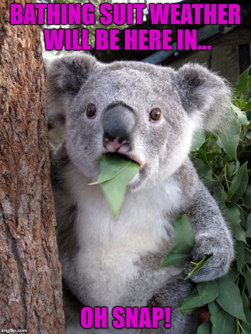 Surprised Koala | BATHING SUIT WEATHER WILL BE HERE IN... OH SNAP! | image tagged in memes,surprised koala | made w/ Imgflip meme maker