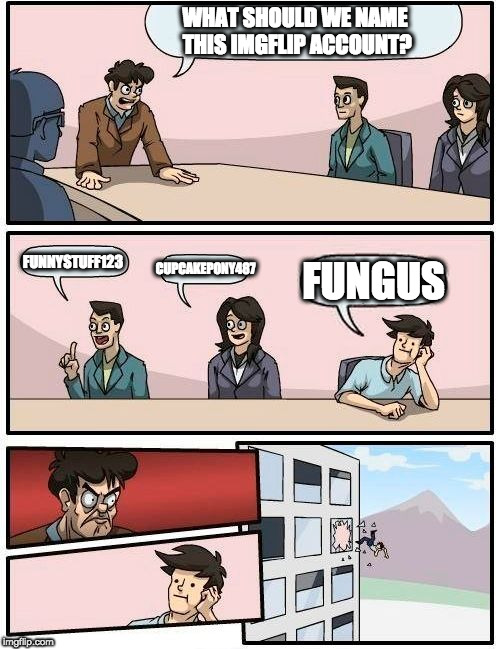 Boardroom Meeting Suggestion | WHAT SHOULD WE NAME THIS IMGFLIP ACCOUNT? FUNNYSTUFF123; CUPCAKEPONY487; FUNGUS | image tagged in memes,boardroom meeting suggestion | made w/ Imgflip meme maker