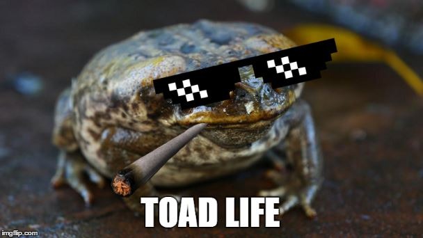 Toad Life | image tagged in toad life,thug life | made w/ Imgflip meme maker