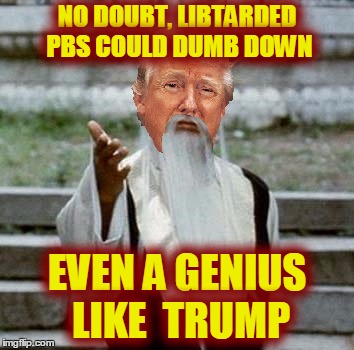 Trumpai Mei | NO DOUBT, LIBTARDED PBS COULD DUMB DOWN EVEN A GENIUS LIKE  TRUMP | image tagged in trumpai mei | made w/ Imgflip meme maker