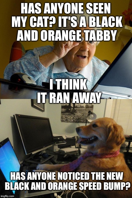 Neighborhood FB page... | HAS ANYONE SEEN MY CAT? IT'S A BLACK AND ORANGE TABBY; I THINK IT RAN AWAY; HAS ANYONE NOTICED THE NEW BLACK AND ORANGE SPEED BUMP? | image tagged in memes | made w/ Imgflip meme maker