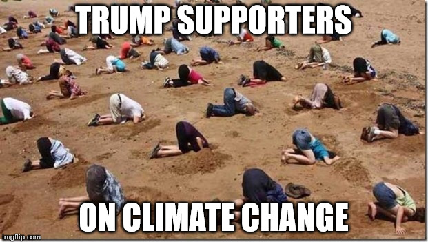 Head in sand | TRUMP SUPPORTERS; ON CLIMATE CHANGE | image tagged in head in sand | made w/ Imgflip meme maker