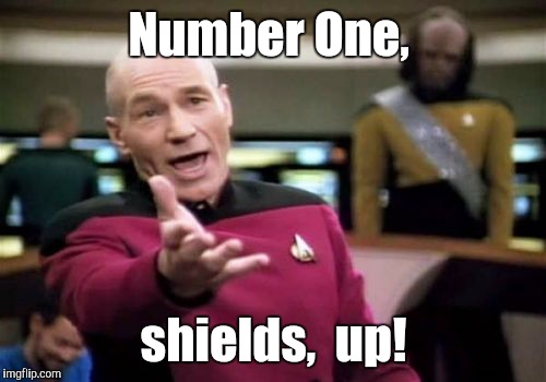 Picard Wtf Meme | Number One, shields,  up! | image tagged in memes,picard wtf | made w/ Imgflip meme maker