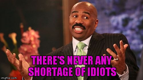 Steve Harvey Meme | THERE'S NEVER ANY SHORTAGE OF IDIOTS | image tagged in memes,steve harvey | made w/ Imgflip meme maker