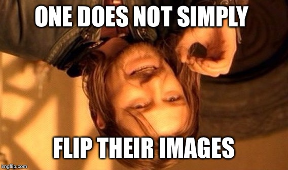 One Does Not Simply | ONE DOES NOT SIMPLY; FLIP THEIR IMAGES | image tagged in memes,one does not simply | made w/ Imgflip meme maker