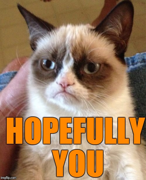 Grumpy Cat Meme | HOPEFULLY YOU | image tagged in memes,grumpy cat | made w/ Imgflip meme maker