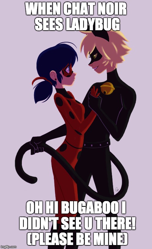 LadyBug And Cat Noir | WHEN CHAT NOIR SEES LADYBUG; OH HI BUGABOO I DIDN'T SEE U THERE! (PLEASE BE MINE) | image tagged in ladybug and cat noir | made w/ Imgflip meme maker