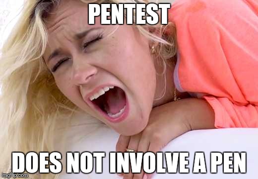 InfoSec for Dummies | PENTEST; DOES NOT INVOLVE A PEN | image tagged in screaming girlfriend,memes,funny,infosec,security | made w/ Imgflip meme maker
