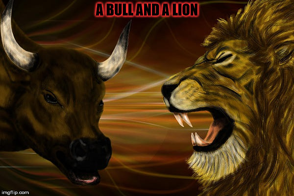 A bull and a lion | A BULL AND A LION | image tagged in a bull and a lion | made w/ Imgflip meme maker