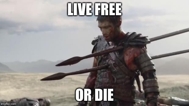 Spartacus | LIVE FREE; OR DIE | image tagged in spartacus,freedom,freedom in murica,freedom of speech,live,american | made w/ Imgflip meme maker