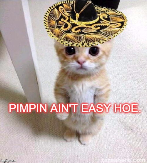 Sir Kit Pimp-alot | PIMPIN AIN'T EASY HOE. | image tagged in cute cat in hat,cute cat,kittens,pimpin | made w/ Imgflip meme maker