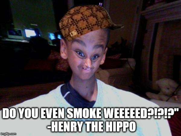 DO YOU EVEN SMOKE WEEEEED?!?!?" -HENRY THE HIPPO | image tagged in tgra,codeciborg | made w/ Imgflip meme maker