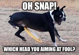 Gonna need some serious licking in the house tonight | OH SNAP! WHICH HEAD YOU AIMING AT FOOL? | image tagged in memes,bad pun dog,funny dogs,funny | made w/ Imgflip meme maker