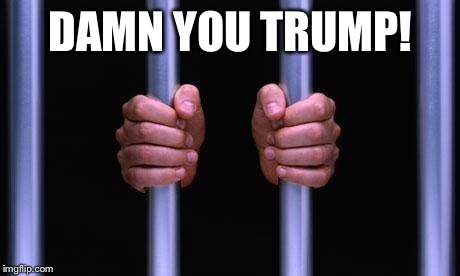 Prison Bars | DAMN YOU TRUMP! | image tagged in prison bars | made w/ Imgflip meme maker
