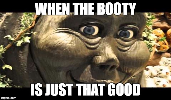 WHEN THE BOOTY; IS JUST THAT GOOD | image tagged in booty,when you see the booty | made w/ Imgflip meme maker
