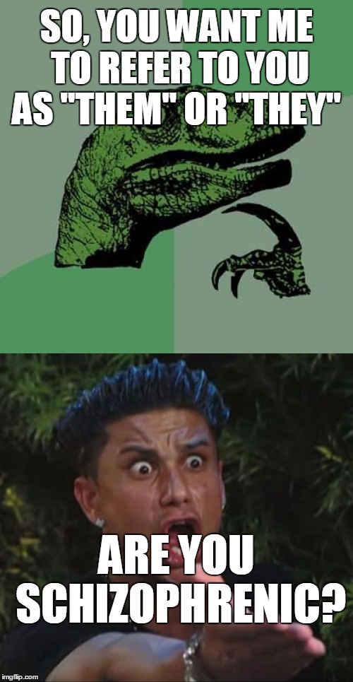  SO, YOU WANT ME TO REFER TO YOU AS "THEM" OR "THEY"; ARE YOU SCHIZOPHRENIC? | image tagged in philosoraptor,dj pauly d | made w/ Imgflip meme maker