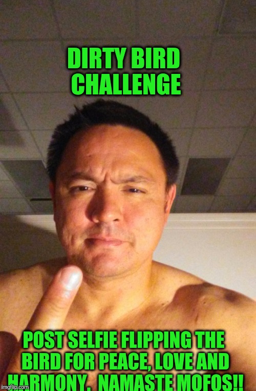 Dirty Bird Challenge!!  | DIRTY BIRD CHALLENGE; POST SELFIE FLIPPING THE BIRD FOR PEACE, LOVE AND HARMONY.  NAMASTE MOFOS!! | image tagged in bird,flip,challenge | made w/ Imgflip meme maker