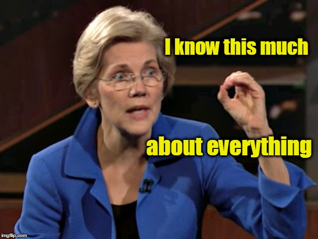Liz Warren admits she knows nothing!
 | I know this much; about everything | image tagged in liz warren admits amount of intelligence,zero intelligence | made w/ Imgflip meme maker