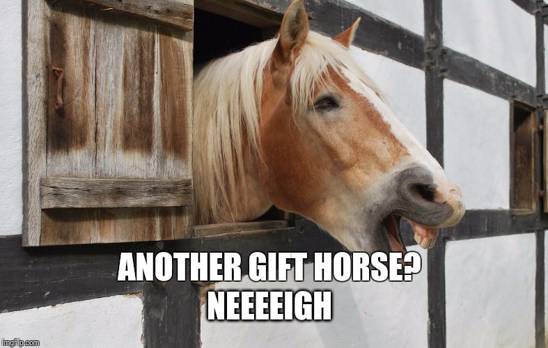Whinnying About Gift Horses | ANOTHER GIFT HORSE? NEEEEIGH | image tagged in romance,gift horses,fiction,harlequin,horse,wealth | made w/ Imgflip meme maker