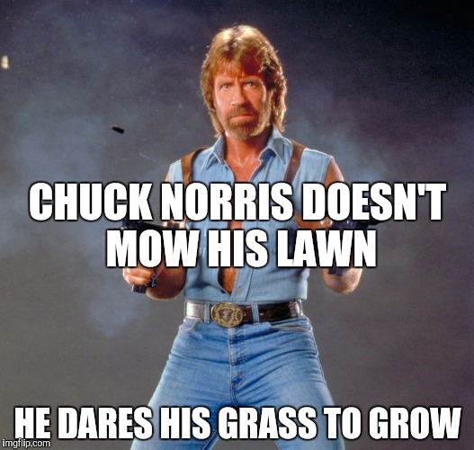 Chuck Norris Guns Meme | CHUCK NORRIS DOESN'T MOW HIS LAWN; HE DARES HIS GRASS TO GROW | image tagged in memes,chuck norris guns,chuck norris | made w/ Imgflip meme maker