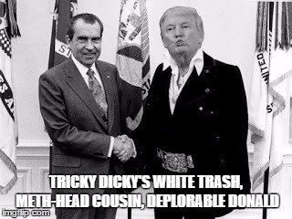 TRICKY DICKY'S WHITE TRASH, METH-HEAD COUSIN, DEPLORABLE DONALD | image tagged in 2 peas | made w/ Imgflip meme maker