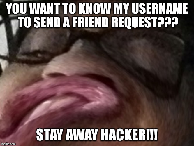 Extreme Cancerous | YOU WANT TO KNOW MY USERNAME TO SEND A FRIEND REQUEST??? STAY AWAY HACKER!!! | image tagged in extreme cancerous | made w/ Imgflip meme maker