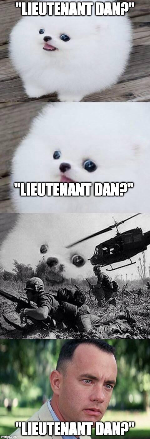 ForrestLeDump (Mind you, Forrest Gump is such a good movie. It's one of those hit you in da feels. It has...) | "LIEUTENANT DAN?"; "LIEUTENANT DAN?"; "LIEUTENANT DAN?" | image tagged in memes,forrest gump,forrest,war,scarred for life | made w/ Imgflip meme maker