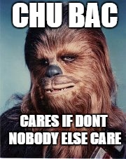 Chewy Chewbacca cares  | CHU BAC; CARES IF DONT NOBODY ELSE CARE | image tagged in star,wars,chewy,2pac,tupac shakur | made w/ Imgflip meme maker